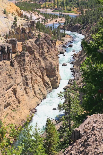 Yellowstonefloden i yellowstone np — Stockfoto