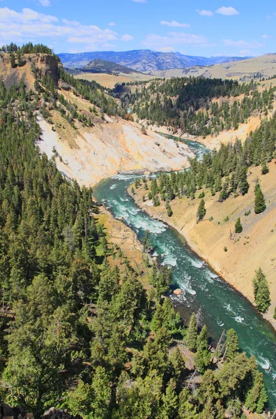 Yellowstonefloden i yellowstone np — Stockfoto