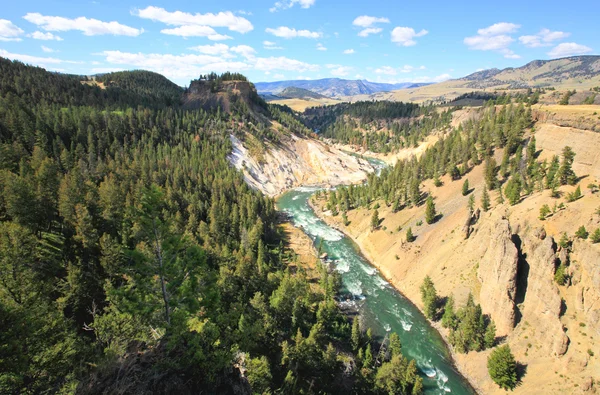 Yellowstonefloden i yellowstone np — Stockfoto