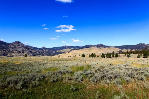 Het landschap in het nationaal park yellowstone — Stockfoto