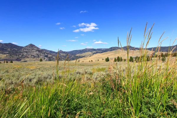 Il paesaggio nel Parco Nazionale di Yellowstone — Foto Stock