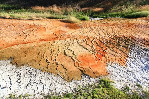 Området mammut varma våren i yellowstone — Stockfoto