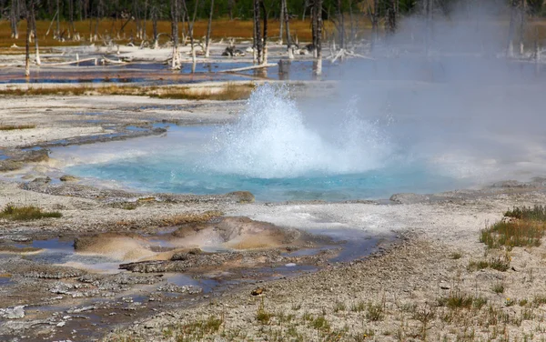 Umywalka Midway Gejzer w yellowstone — Zdjęcie stockowe