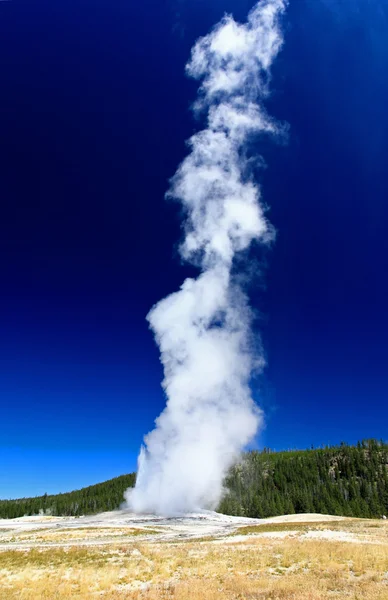 The Old Faithful Geyser in Yellowstone — Stock Photo, Image