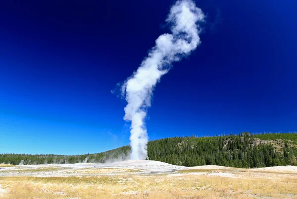 De gamla trogna geyser i yellowstone — Stockfoto