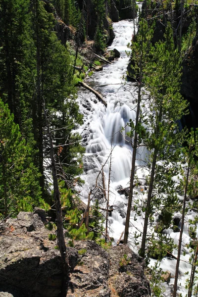 The Kepler Cascades in the Yellowstone — Stock Photo, Image