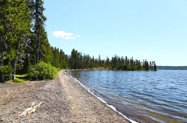 Lewis sjön i yellowstone — Stockfoto