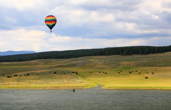 A paisagem ao longo do rio Yellowstone — Fotografia de Stock