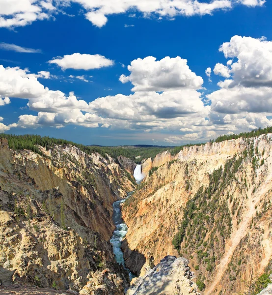 De lagere watervallen in de yellowstone — Stockfoto