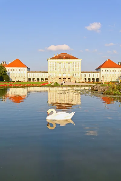 Swan at the Nymphenburg palace — Stock Photo, Image