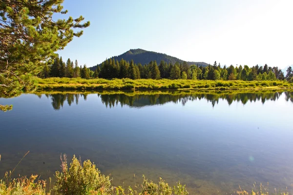 Oxbow bend valdeltagandet i grand teton — Stockfoto