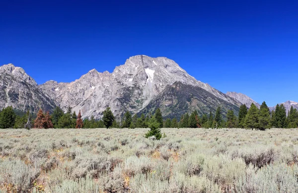 Der Grand Teton Nationalpark — Stockfoto