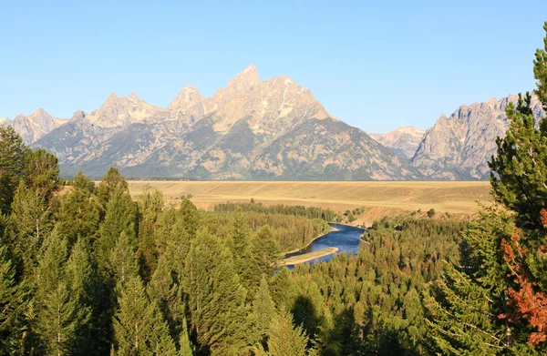 Rivière Snake Surplombant Grand Teton — Photo