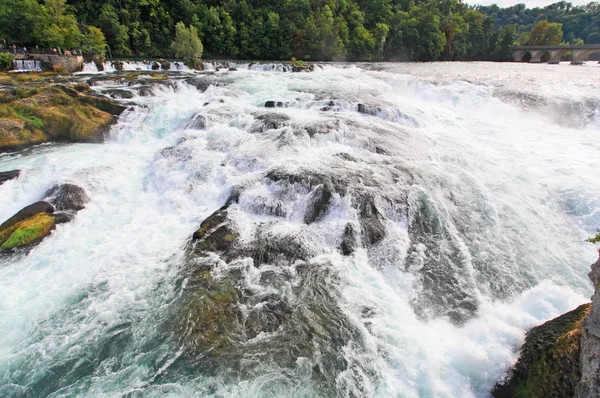 Rhine jatuh di Swiss — Stok Foto