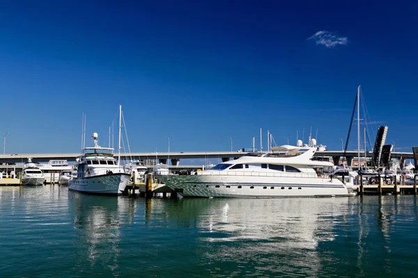 Les yachts et bateaux dans le port de Miami — Photo