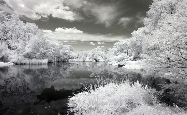 Infrared image of the Central Park — Stock Photo, Image