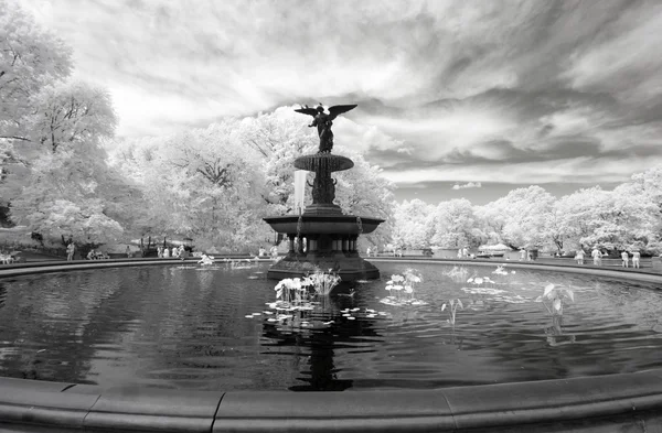 सेंट्रल पार्कची इन्फ्रारेड प्रतिमा — स्टॉक फोटो, इमेज