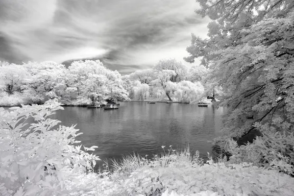 Central Park kızılötesi görüntü — Stok fotoğraf