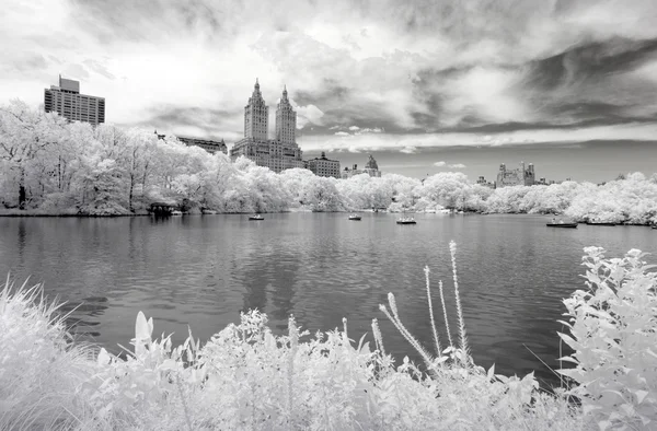 Imagem infravermelha do Central Park — Fotografia de Stock