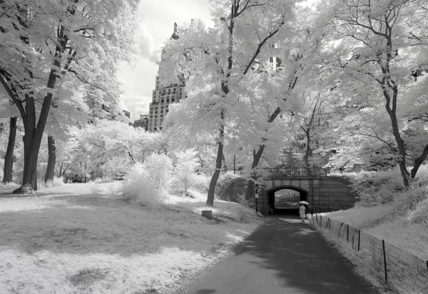 Infrarood beeld van het central park — Stockfoto