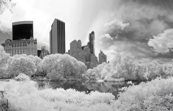 Imagen infrarroja panorámica del Parque Central —  Fotos de Stock