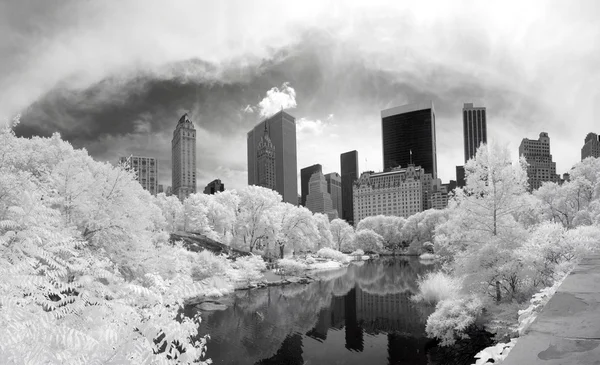 Imagen infrarroja panorámica del Parque Central —  Fotos de Stock