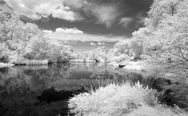 Imagem infravermelha do Central Park — Fotografia de Stock