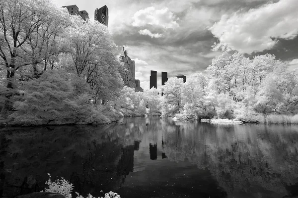 红外图像的中央公园 — 图库照片