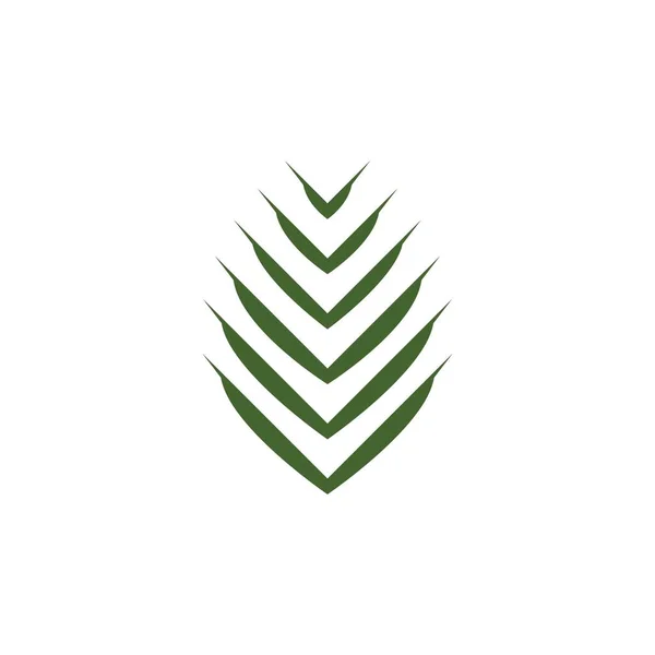 Liść Palmy Ilustracja Logo Wzór Wektor Projekt — Wektor stockowy
