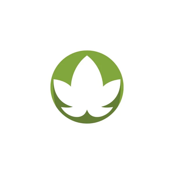 Monstera Leaf Logo Vector Design — 图库矢量图片