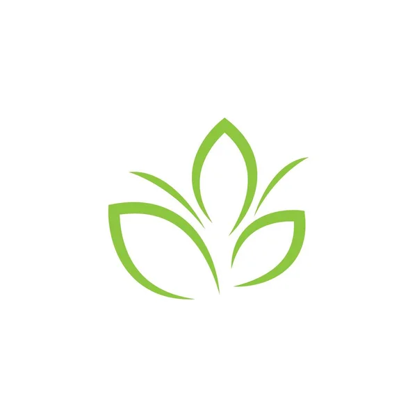 Illustration Logo Feuille Verte — Image vectorielle