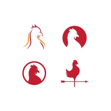 Horoz logosu vektör çizimi