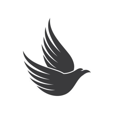 Falcon kartal illüstrasyon logosu tasarımı