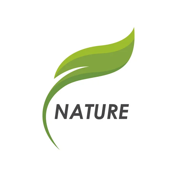 Eco Baum Blatt Gesundheit Illustration Logo Design — Stockvektor