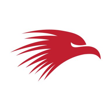 Falcon kartal illüstrasyon logosu tasarımı