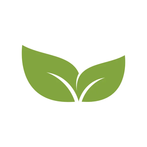 Folha Verde Ilustração Natureza Logotipo Design —  Vetores de Stock