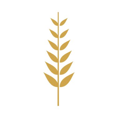 Wheat logo template vector design