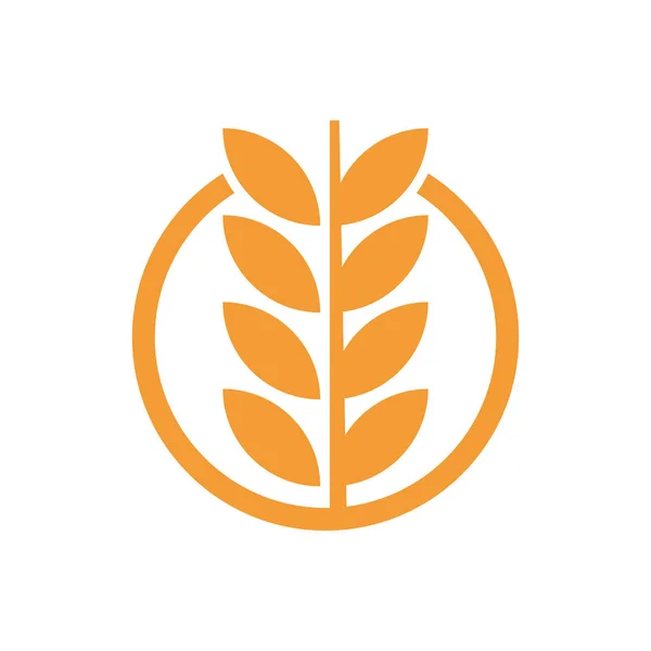 Wheat Logo Template Vector Design — ストックベクタ
