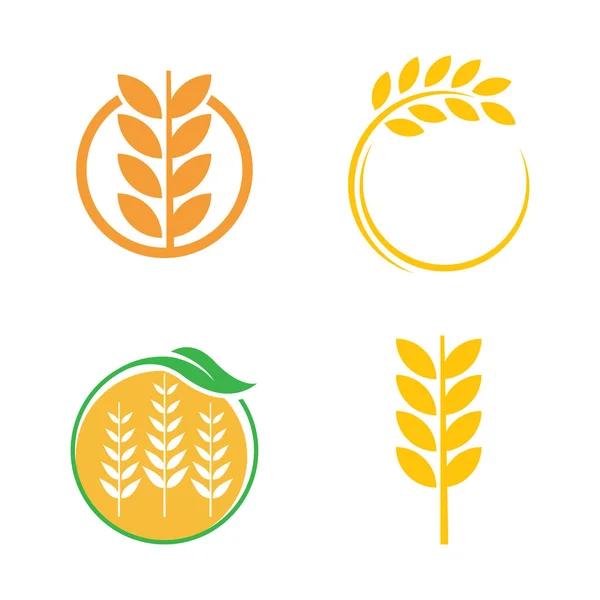 Wheat Logo Template Vector Design — Archivo Imágenes Vectoriales