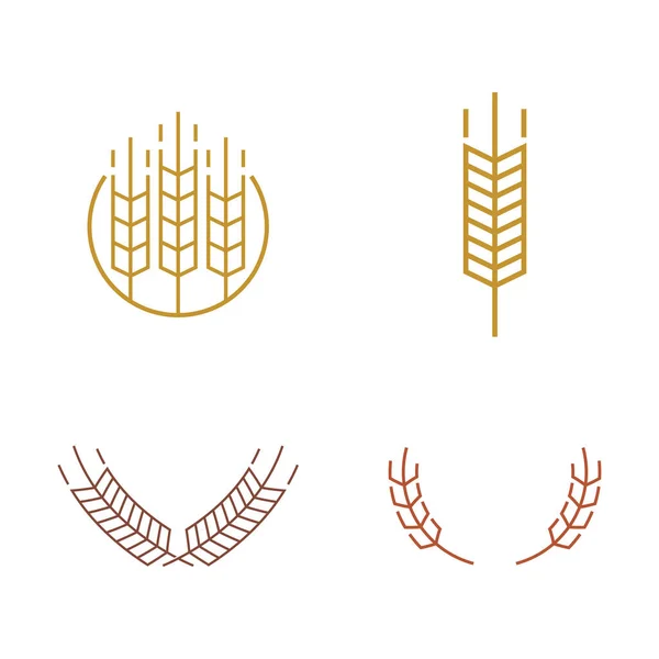 Agricultura Trigo Logo Plantilla Vector Icono Diseño Plano — Archivo Imágenes Vectoriales