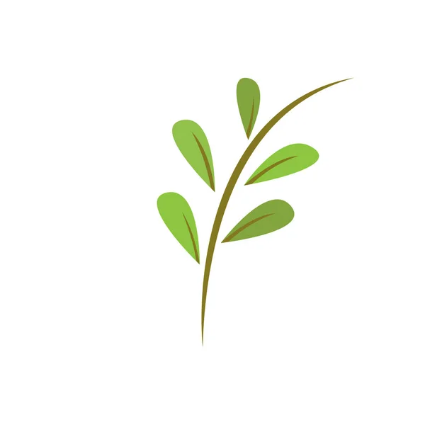 Zielony Liść Ilustracja Natura Logo Projekt — Wektor stockowy
