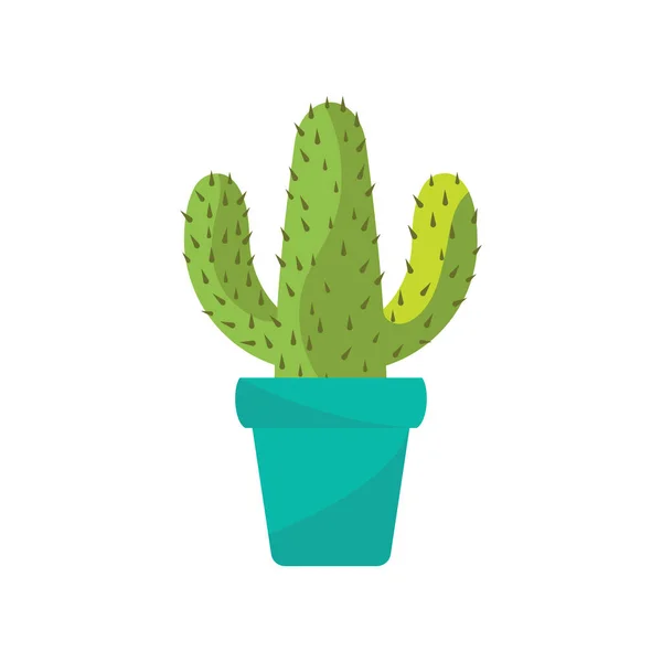 Kaktus Kuva Vektori Tasainen Muotoilu Malli — vektorikuva