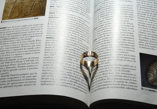 Amor