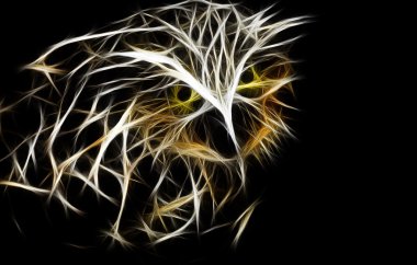 baykuş sanat tasarım