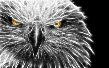 baykuş sanat tasarım