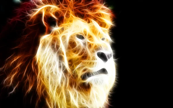 Löwenkunst-Design — Stockfoto