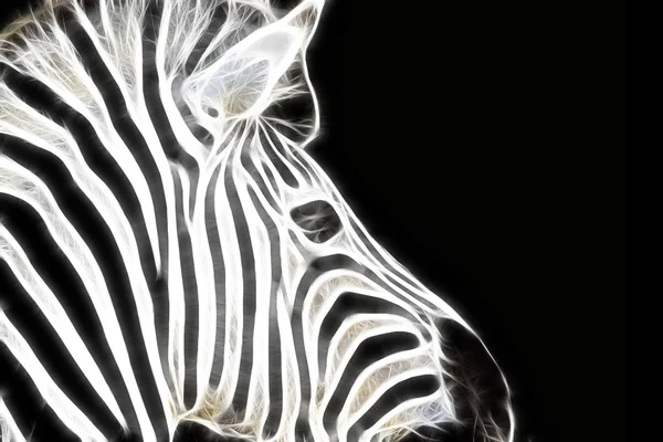 Design di arte animale — Foto Stock