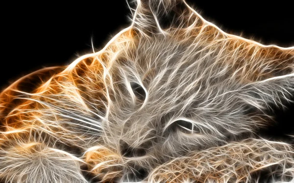 Kedi sanat tasarım — Stok fotoğraf