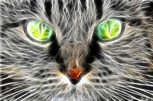 kedi sanat tasarım
