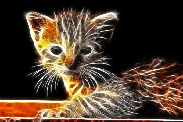 Design de arte de gato — Fotografia de Stock